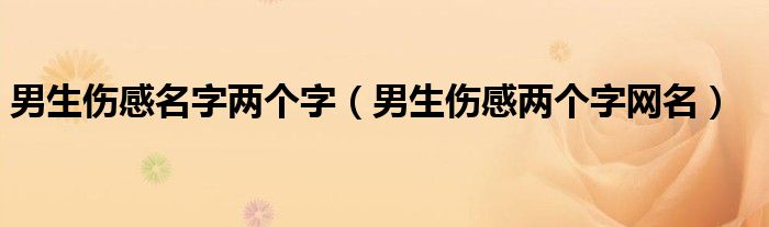 男生伤感名字两个字（男生伤感两个字网名）