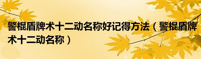 警棍盾牌术十二动名称好记得方法（警棍盾牌术十二动名称）