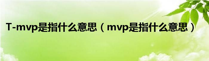 T-mvp是指什么意思（mvp是指什么意思）