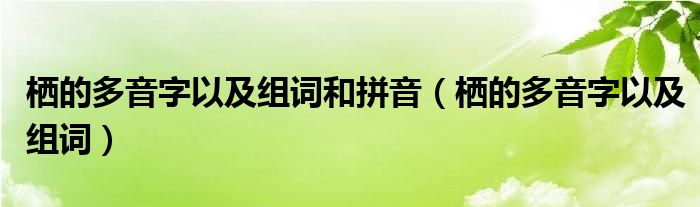 栖的多音字以及组词和拼音（栖的多音字以及组词）