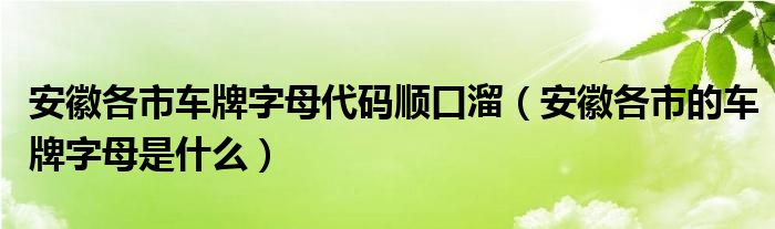 安徽各市车牌字母代码顺口溜（安徽各市的车牌字母是什么）