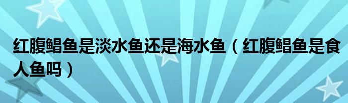 红腹鲳鱼是淡水鱼还是海水鱼（红腹鲳鱼是食人鱼吗）