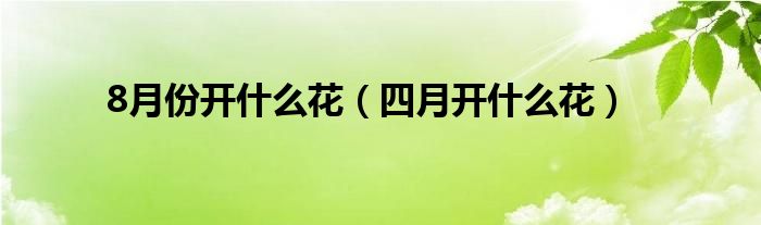 8月份开什么花（四月开什么花）