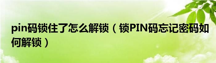 pin码锁住了怎么解锁（锁PIN码忘记密码如何解锁）