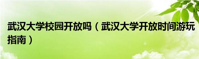 武汉大学校园开放吗（武汉大学开放时间游玩指南）