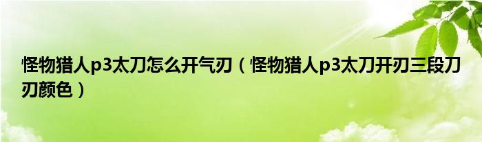 怪物猎人p3太刀怎么开气刃（怪物猎人p3太刀开刃三段刀刃颜色）