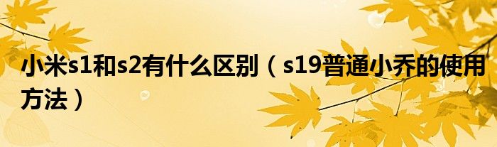 小米s1和s2有什么区别（s19普通小乔的使用方法）