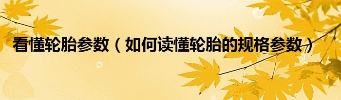 看懂轮胎参数（如何读懂轮胎的规格参数）