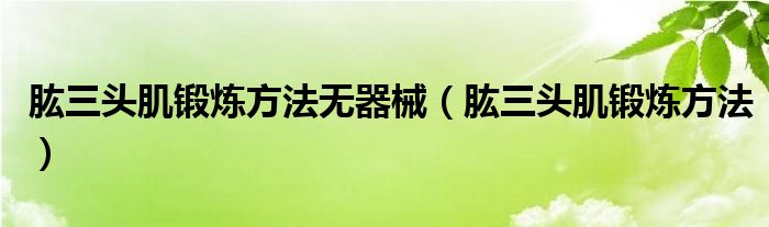 肱三头肌锻炼方法无器械（肱三头肌锻炼方法）