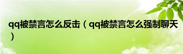 qq被禁言怎么反击（qq被禁言怎么强制聊天）