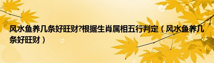 风水鱼养几条好旺财?根据生肖属相五行判定（风水鱼养几条好旺财）