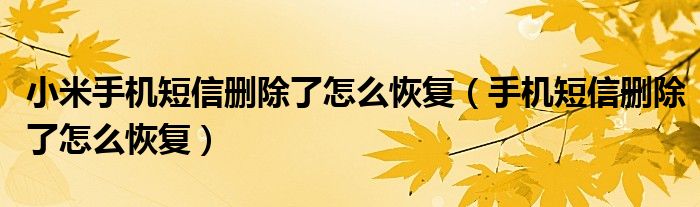 小米手机短信删除了怎么恢复（手机短信删除了怎么恢复）