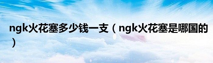 ngk火花塞多少钱一支（ngk火花塞是哪国的）