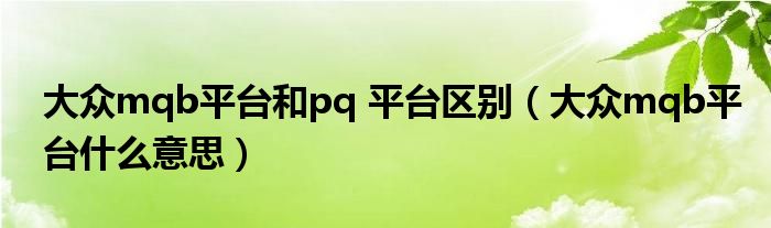 大众mqb平台和pq 平台区别（大众mqb平台什么意思）