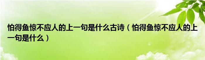 怕得鱼惊不应人的上一句是什么古诗（怕得鱼惊不应人的上一句是什么）