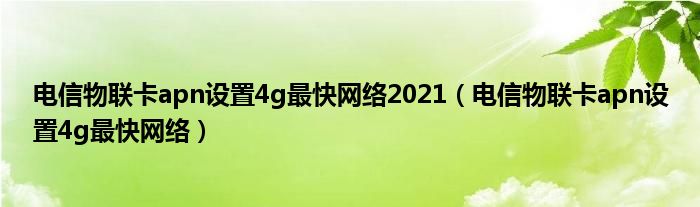 电信物联卡apn设置4g最快网络2021（电信物联卡apn设置4g最快网络）