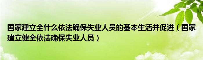 国家建立全什么依法确保失业人员的基本生活并促进（国家建立健全依法确保失业人员）