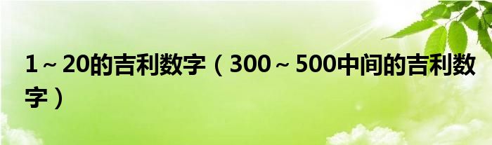 1～20的吉利数字（300～500中间的吉利数字）