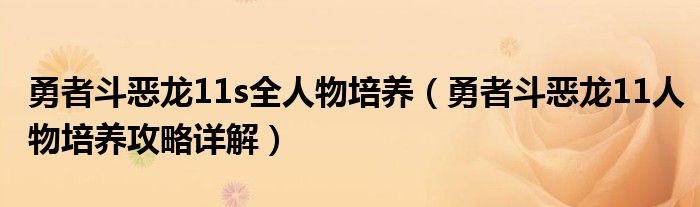 勇者斗恶龙11s全人物培养（勇者斗恶龙11人物培养攻略详解）