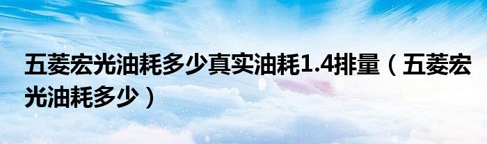 五菱宏光油耗多少真实油耗1.4排量（五菱宏光油耗多少）