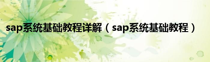 sap系统基础教程详解（sap系统基础教程）