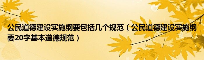 公民道德建设实施纲要包括几个规范（公民道德建设实施纲要20字基本道德规范）