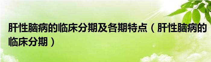 肝性脑病的临床分期及各期特点（肝性脑病的临床分期）