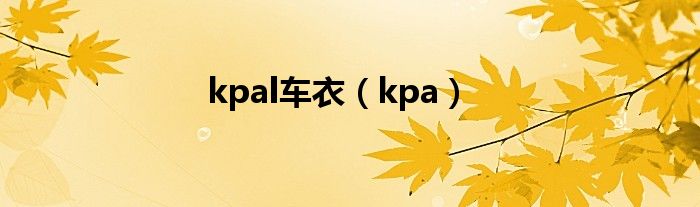 kpal车衣（kpa）