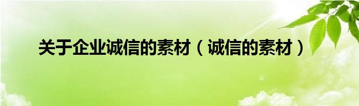 关于企业诚信的素材（诚信的素材）