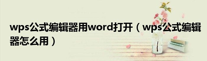 wps公式编辑器用word打开（wps公式编辑器怎么用）