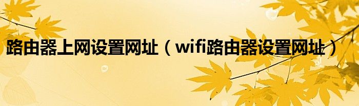 路由器上网设置网址（wifi路由器设置网址）