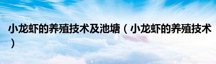 小龙虾的养殖技术及池塘（小龙虾的养殖技术）