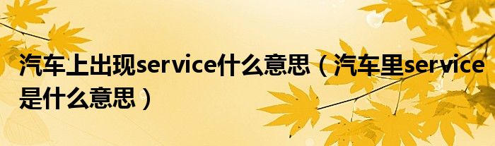 汽车上出现service什么意思（汽车里service是什么意思）