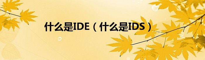 什么是IDE（什么是IDS）