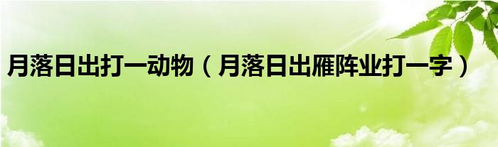 月落日出打一动物（月落日出雁阵业打一字）