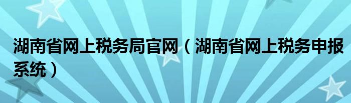 湖南省网上税务局官网（湖南省网上税务申报系统）