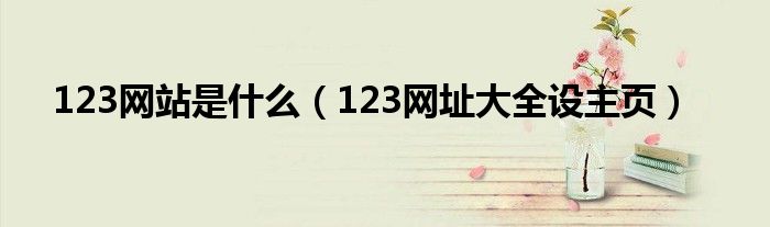 123网站是什么（123网址大全设主页）