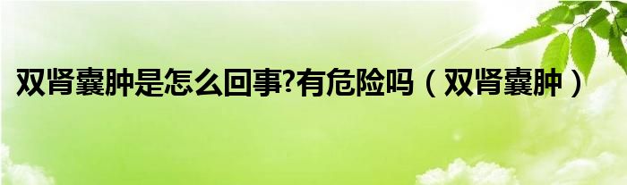 双肾囊肿是怎么回事?有危险吗（双肾囊肿）