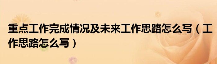 重点工作完成情况及未来工作思路怎么写（工作思路怎么写）