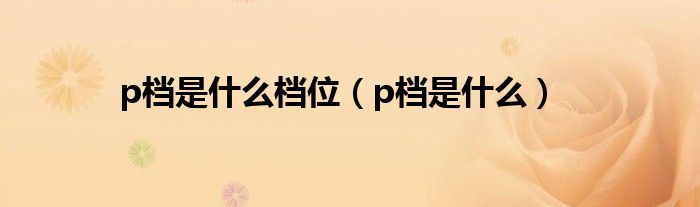 p档是什么档位（p档是什么）