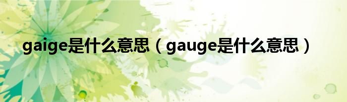 gaige是什么意思（gauge是什么意思）