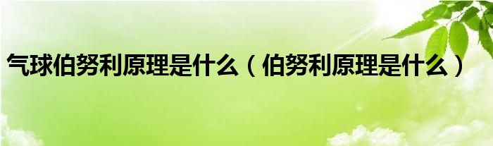 气球伯努利原理是什么（伯努利原理是什么）