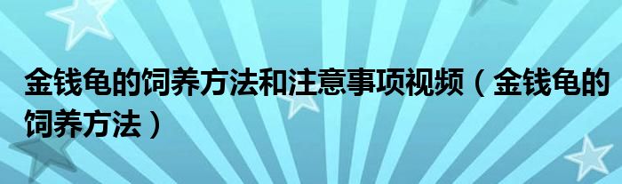 金钱龟的饲养方法和注意事项视频（金钱龟的饲养方法）