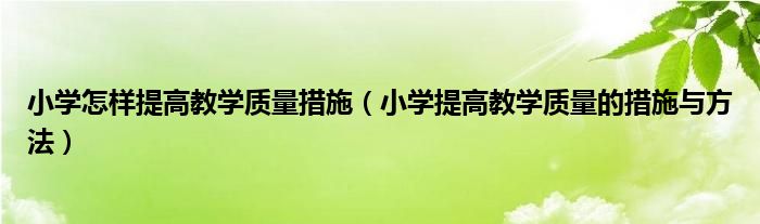 小学怎样提高教学质量措施（小学提高教学质量的措施与方法）