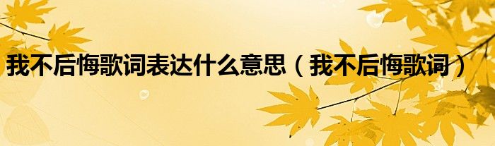 我不后悔歌词表达什么意思（我不后悔歌词）