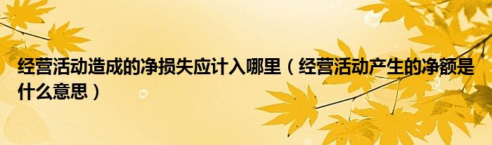 经营活动造成的净损失应计入哪里（经营活动产生的净额是什么意思）