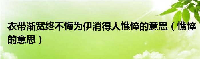 衣带渐宽终不悔为伊消得人憔悴的意思（憔悴的意思）