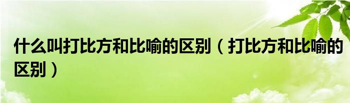 什么叫打比方和比喻的区别（打比方和比喻的区别）