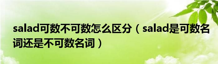 salad可数不可数怎么区分（salad是可数名词还是不可数名词）