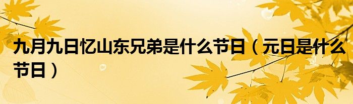 九月九日忆山东兄弟是什么节日（元日是什么节日）